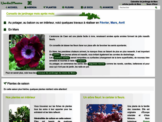 1jardin2plantes.info