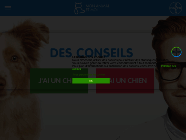 advantix.fr