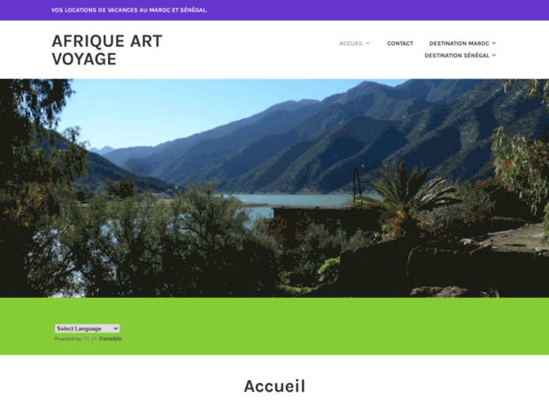 afriqueartvoyage.com