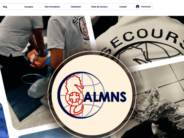 aleaumns.com