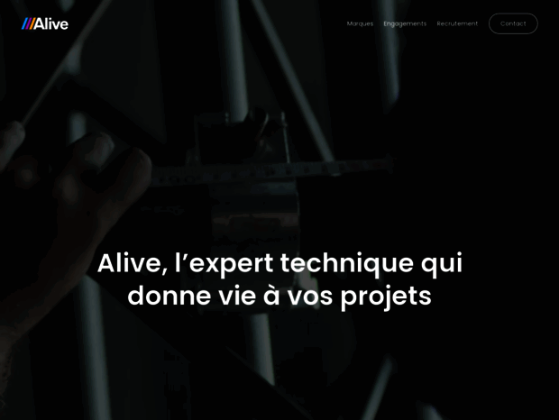 alive-groupe.fr