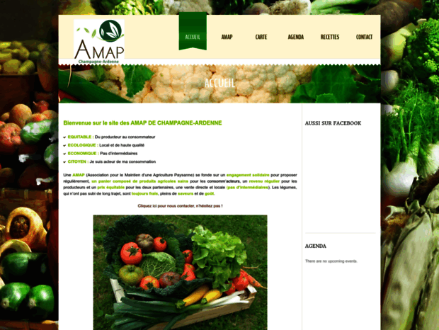 amapca.com
