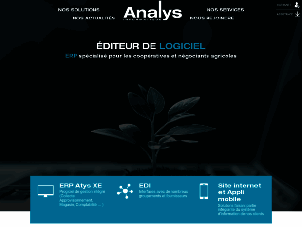 analys-informatique.com
