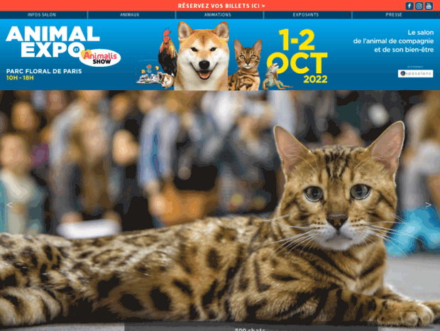 animal-expo.com