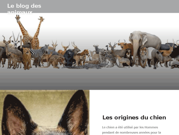animaux.ws