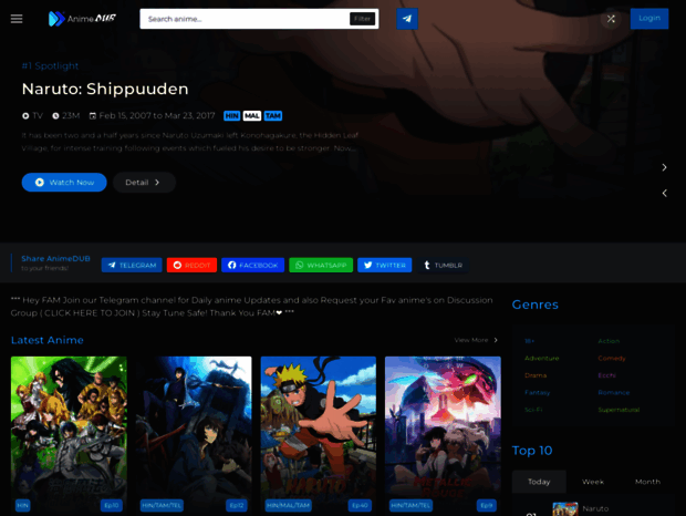 animedub.pro
