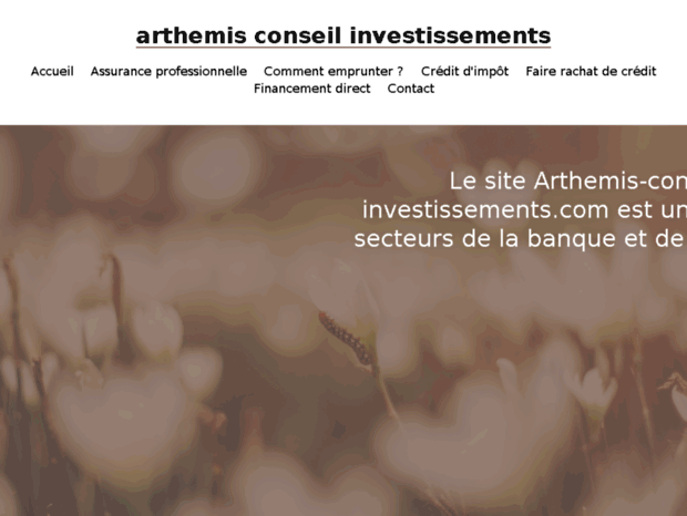 arthemis-conseil-investissements.com