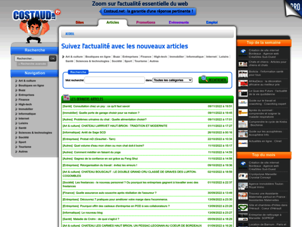 articles.costaud.net