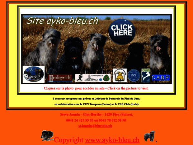 ayko-bleu.ch