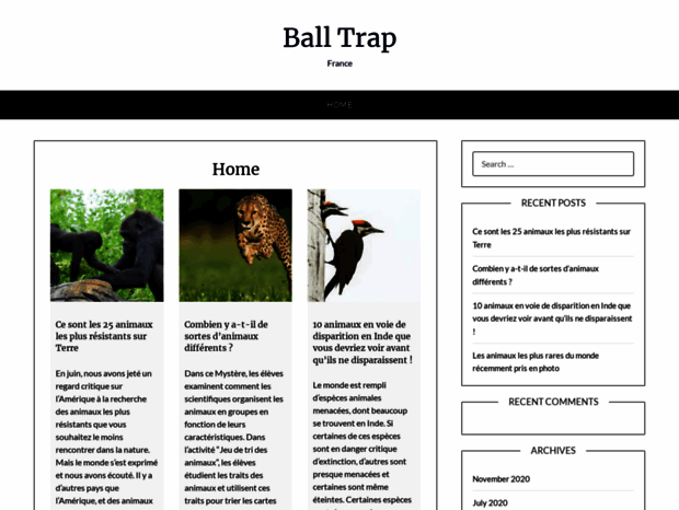 ball-trap-france.fr
