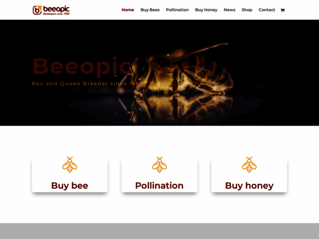 beeopic.com