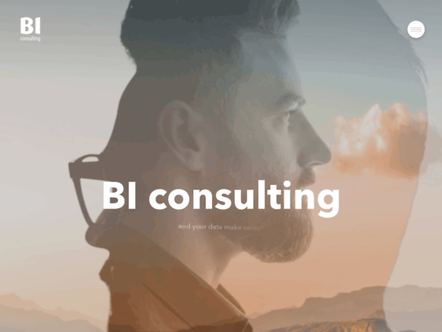 bi-consulting.com