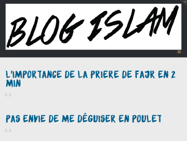 blog-islam.com