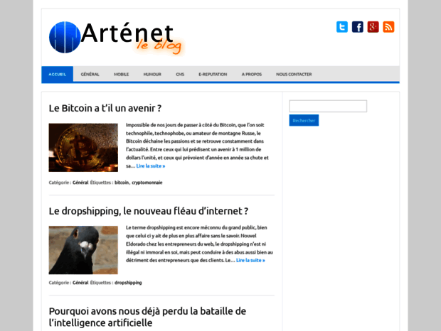 blog.artenet.fr