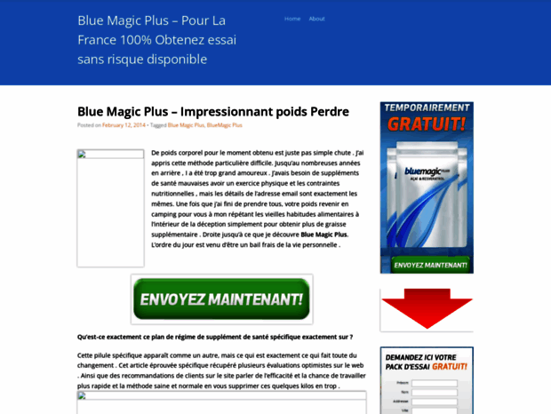 bluemagicplus.wordpress.com
