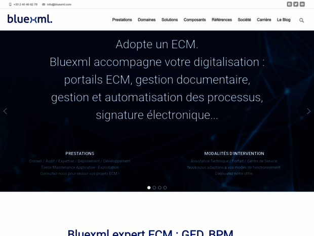 bluexml.com