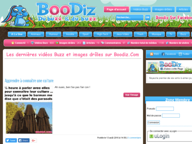 boodiz.com