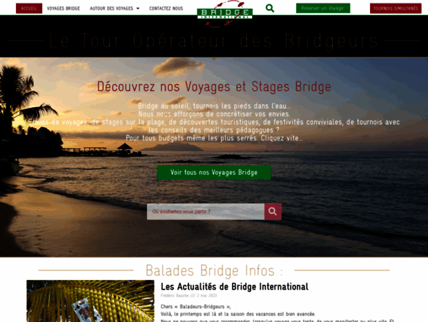 bridge-international.com