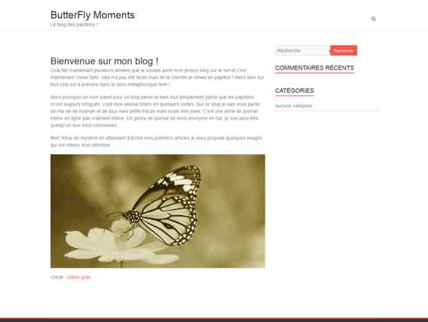 butterflymoments.fr