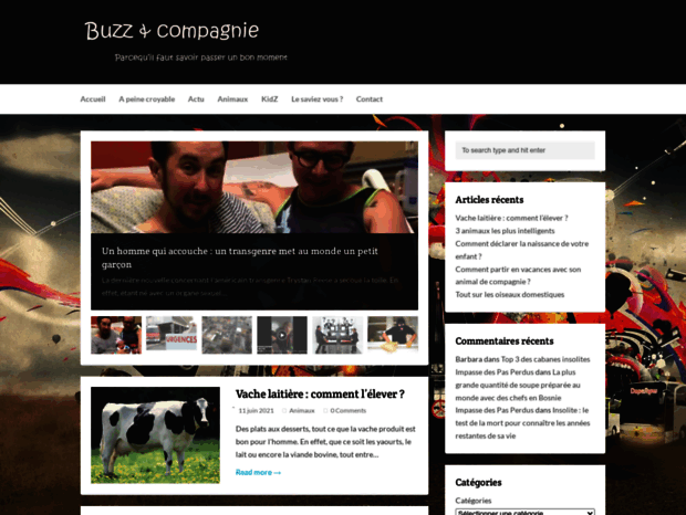 buzzetcompagnie.net
