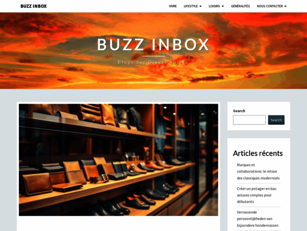 buzzinbox.fr