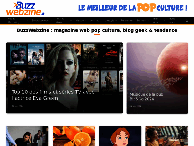 buzzwebzine.fr