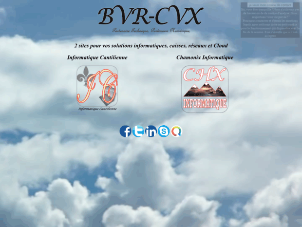 bvr-cvx.eu