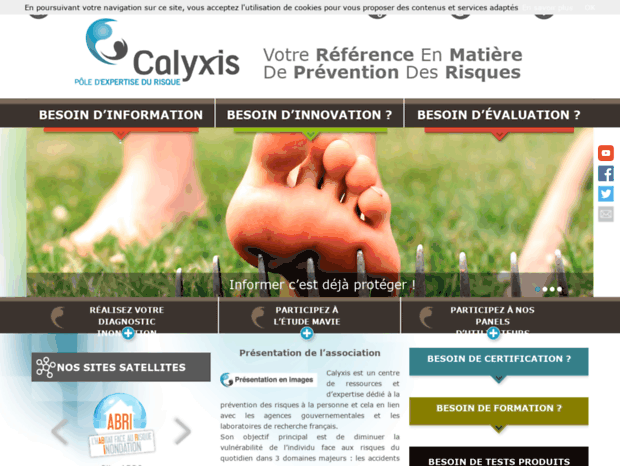 calyxis.fr