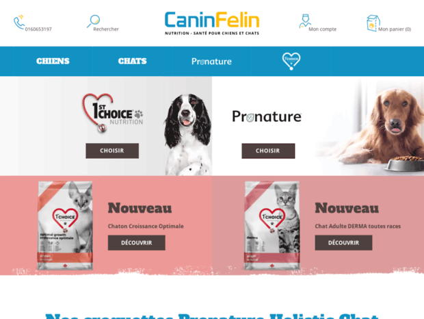 caninsfelins.fr