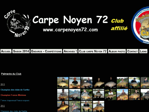 carpenoyen72.com