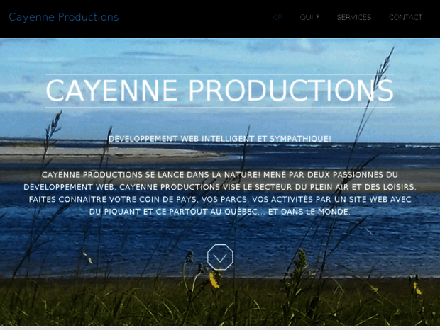 cayenneproductions.ca