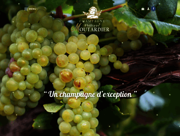 champagne-philippemoutardier.com