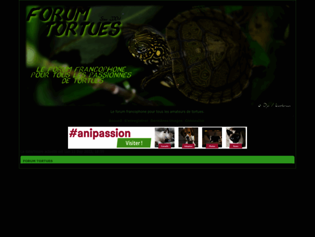 cheloniaforum-tortue.forumactif.com