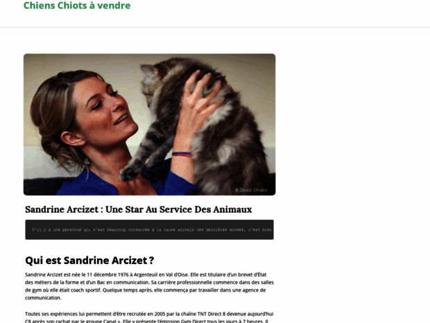 chienschiotsavendre.com