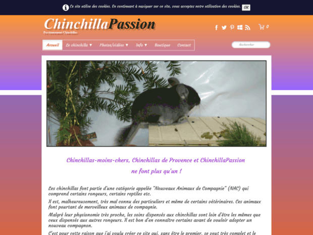 chinchillas-provence.fr