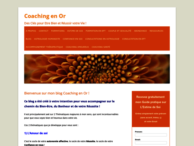coaching-en-or.com