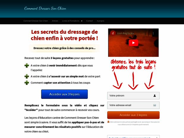 commentdressersonchien.net