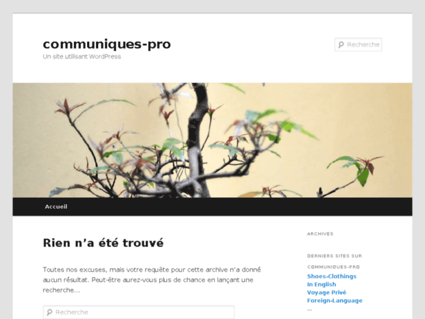 communiques-pro.com