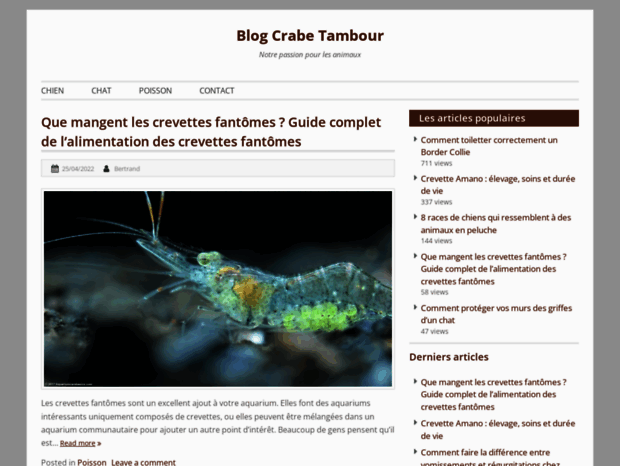 crabetambour.fr