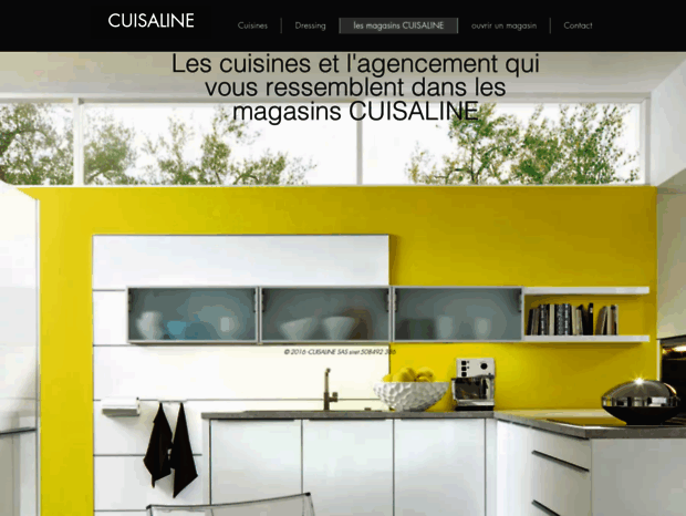 cuisaline.com