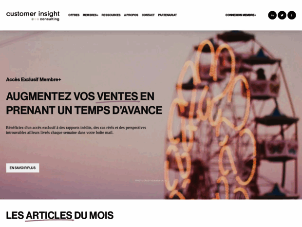 customer-insight-consulting.com