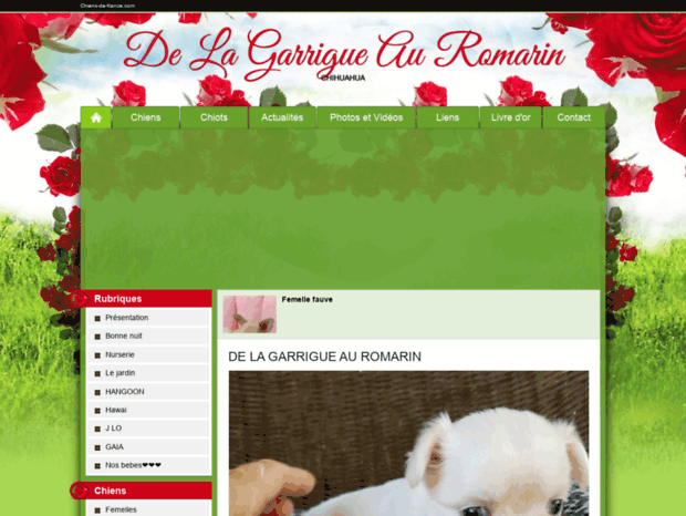 delagarrigueauromarin.chiens-de-france.com