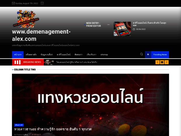 demenagement-alex.com