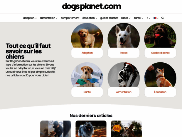 dogsplanet.com