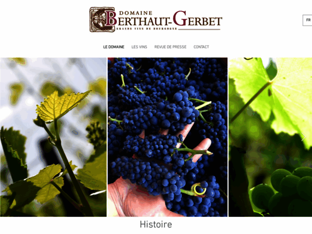 domaine-berthaut.com