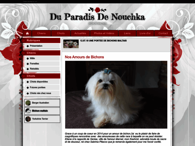 duparadisdenouchka.chiens-de-france.com