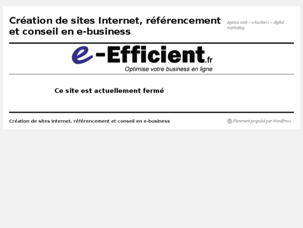 e-efficient.fr