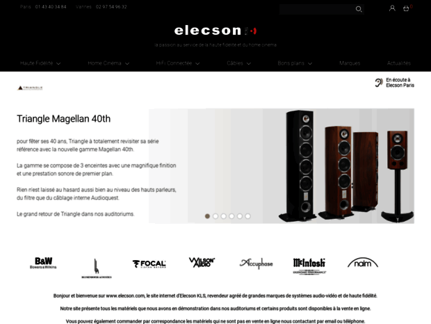 elecson.com