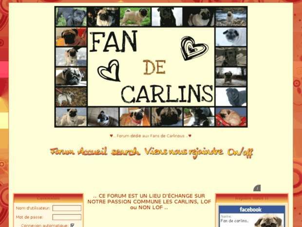 fan2carlin.forumsgratuits.fr