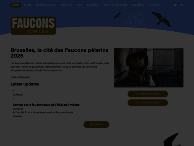fauconspourtous.be